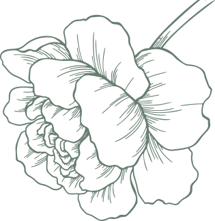 flower-1