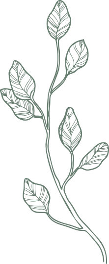 leaves-1